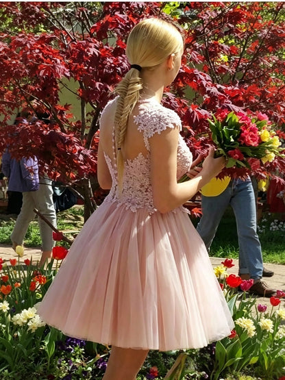 Delicate Blush Lace A-line Deep V Cap Sleeve SheerBack Mini Homecoming Dresses