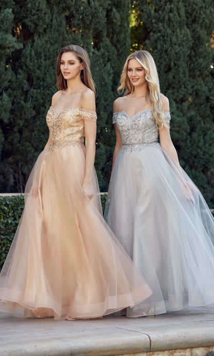 Elegant Beaded Off-Shoulder Ball Gown Floor-Length Prom Dress with Tulle Skirt
