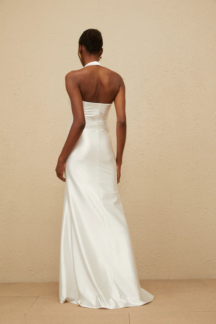 Elegant Fitted Halter Neck Sleeveless Open Back Floor Length Evening Dress