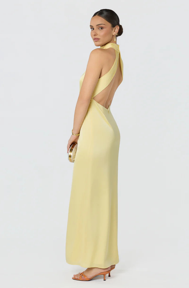 Elegant Satin Sheath Halter Sleeveless Open-Back Back-Zip Maxi Evening Dresses