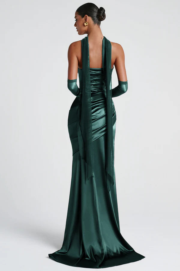 Opulent Fitted Strapless Choker Neck Sleeveless Open Back Floor Length Evening Dress